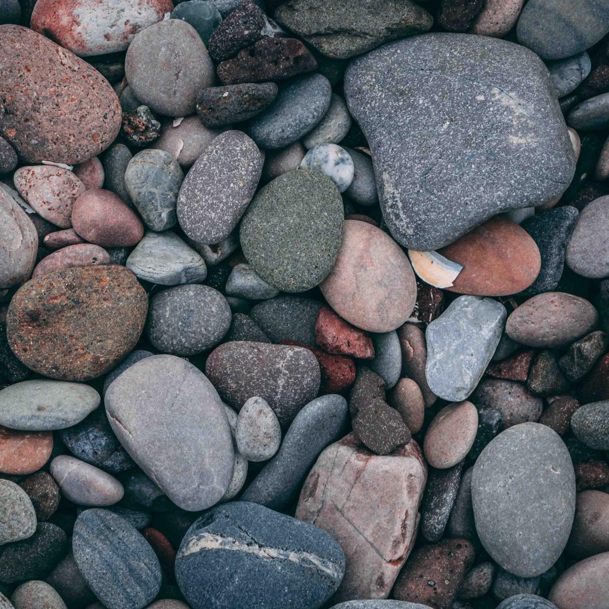 A day at the&nbsp;lake