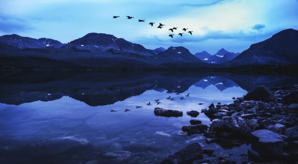 Geese flying over a mountain lake in low light