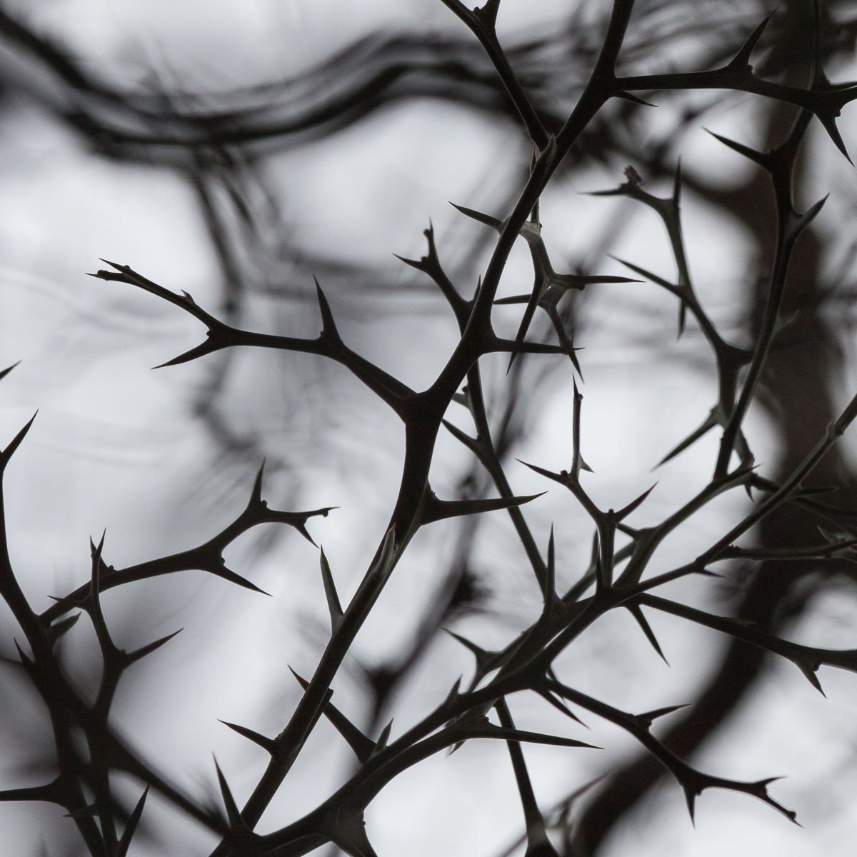 The treacherous labyrinth of&nbsp;grammar