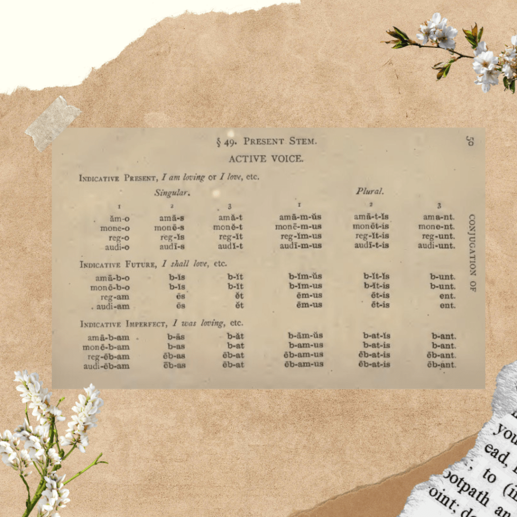 Page of a Latin textbook pasted into a scrapbook