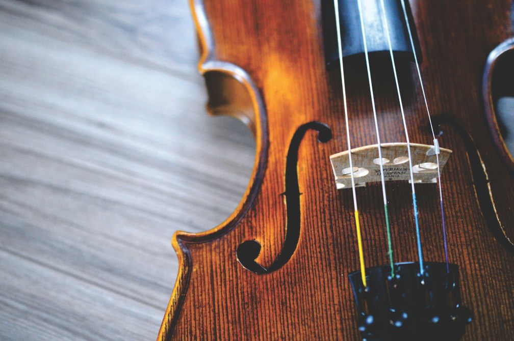 Close up of the strings of a violin.