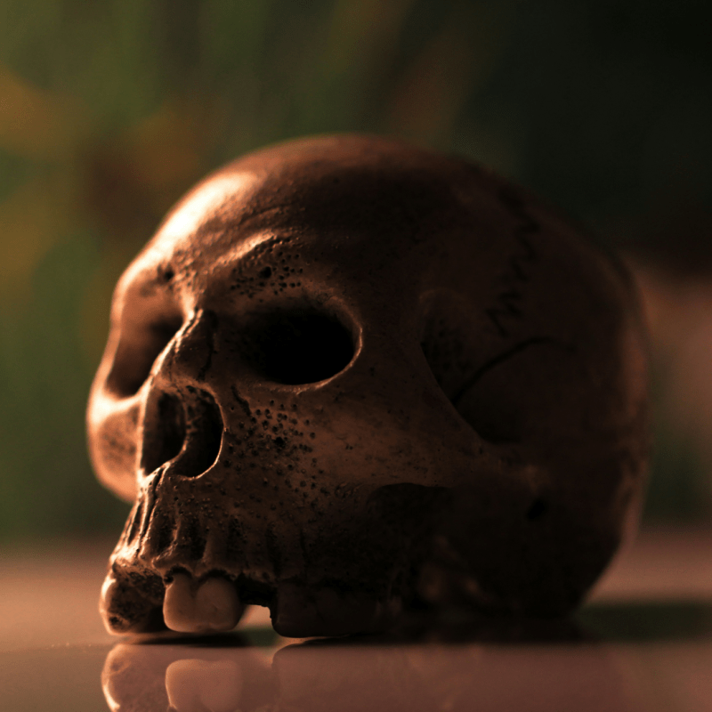 The effects of language on the&nbsp;body